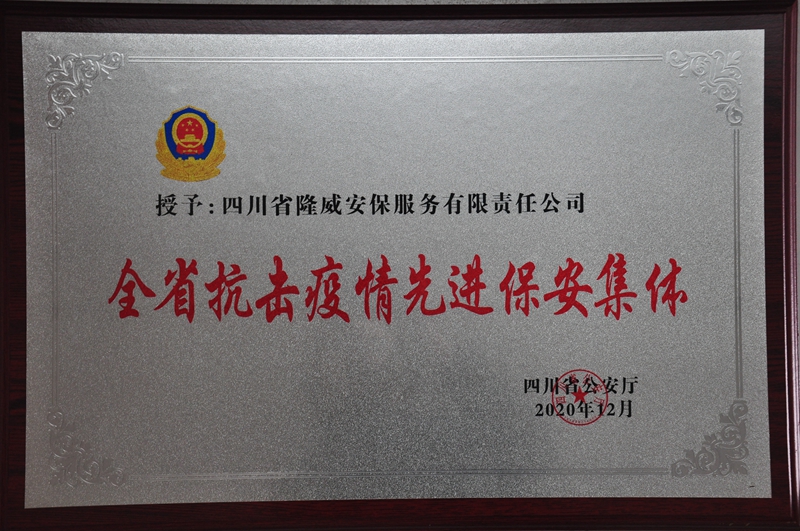 2020年全省抗击疫情先进保安集体